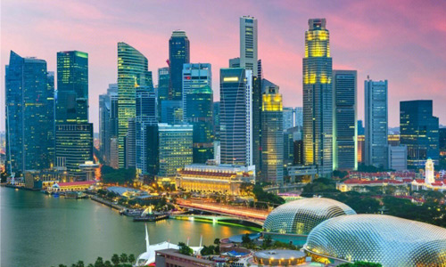 TTvip 私人管家 新加坡伴游服务